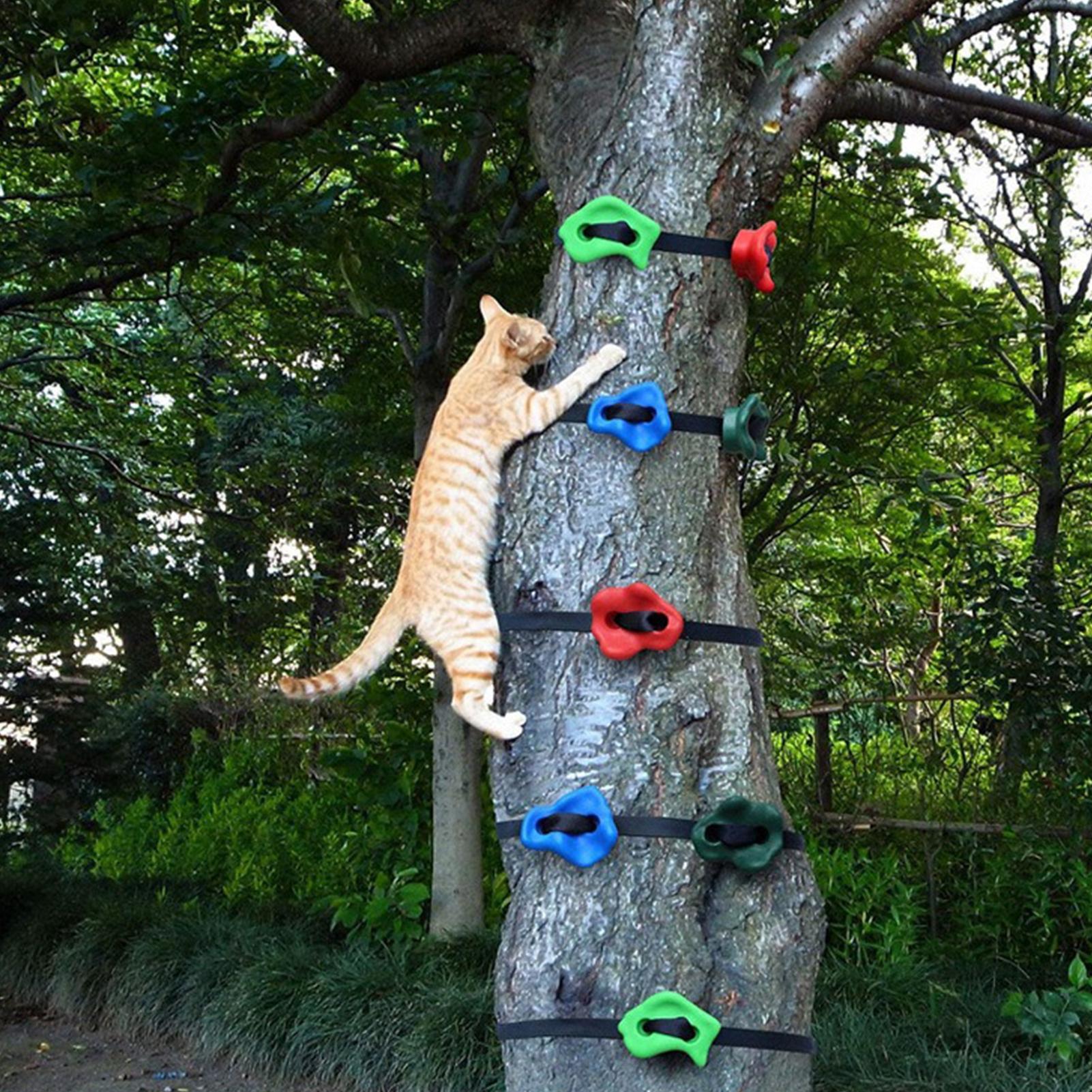 ของเล่นปีนป่ายกลางแจ้ง ปรับระด - Outdoor Adventure Course บทวิจารณ์และราคา